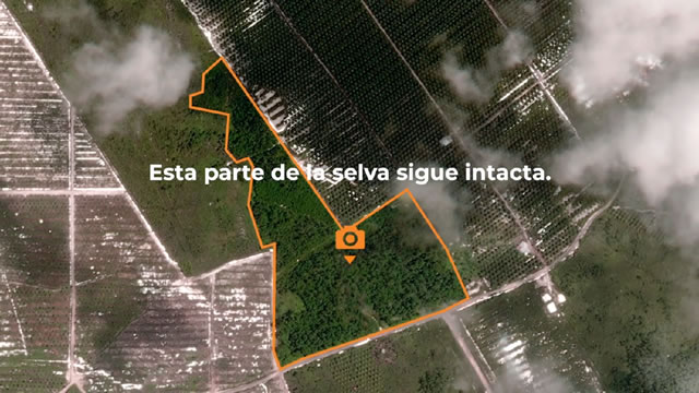 ¿Una Fotografía Irrepetible? - Satélite 2019