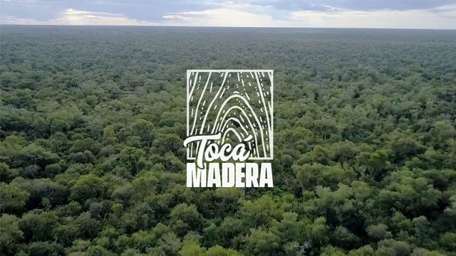 Tocá Madera