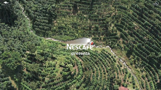 Nescafé tributo
