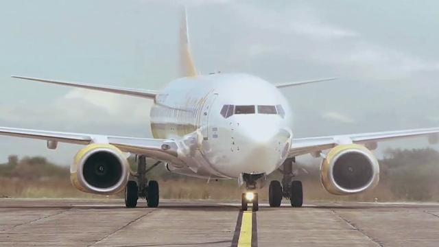 Fly With Us (Cannes 2019)