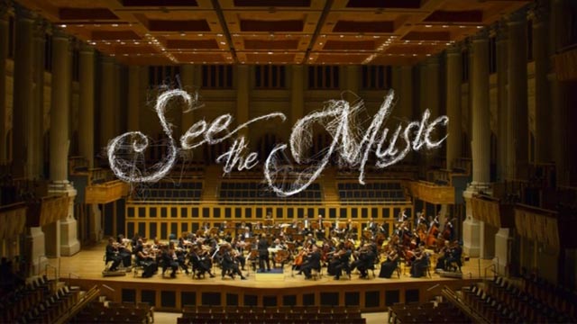 Caso - See the music