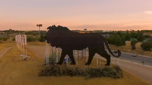 El león de Disney