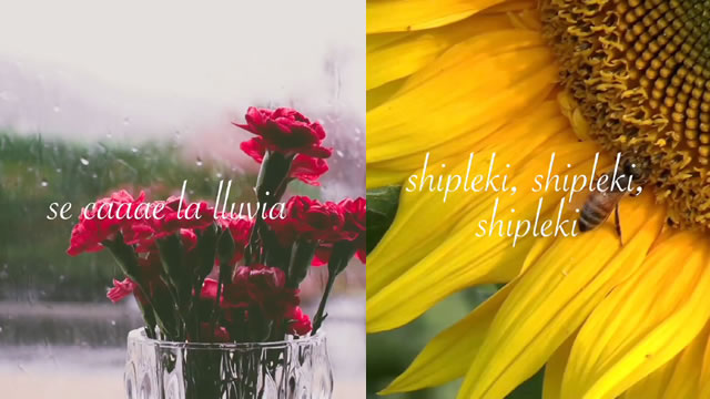 Shipleki
