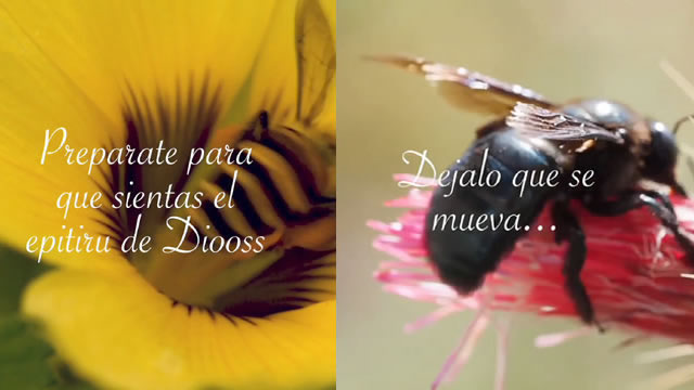 El epitiru de dios