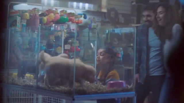 Petshop