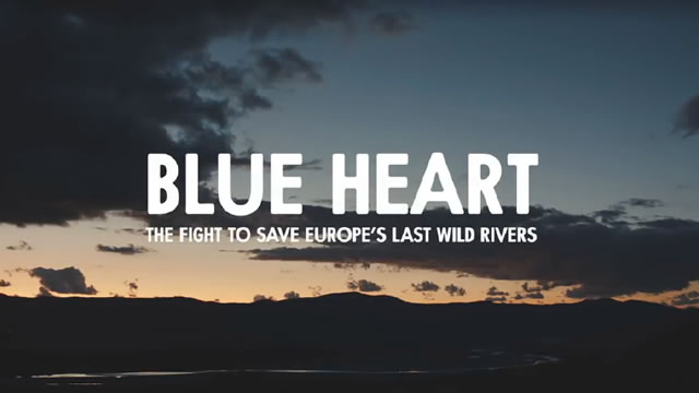 Teaser - Blue Heart