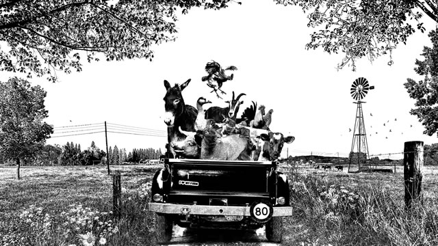 Pensiones - Historias del Futuro