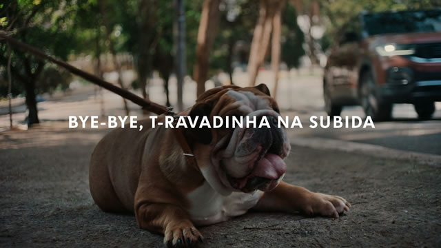 Bye Bye