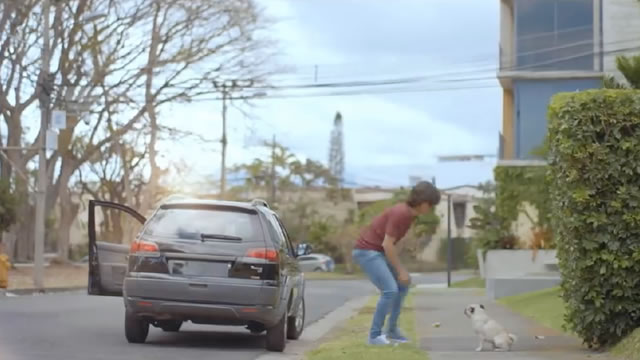 Perro que habla