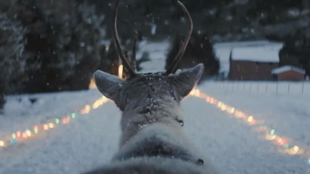 Lost Reindeer