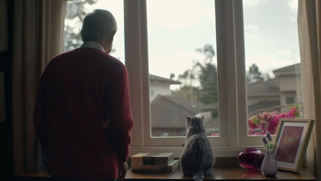 Cat Person