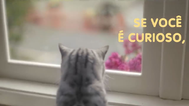 Curioso