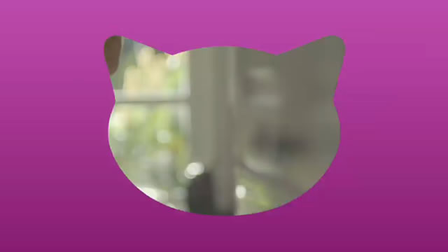 Janela