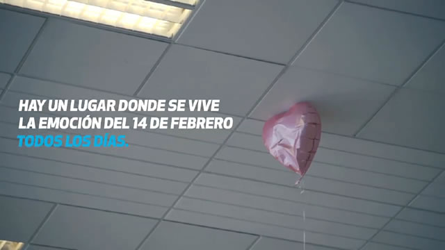 19 aniversario