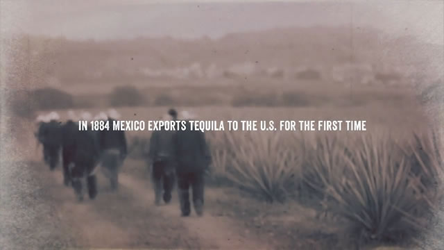 The Taste of Mexico
