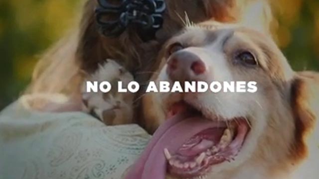 Chunky - No son transmisores