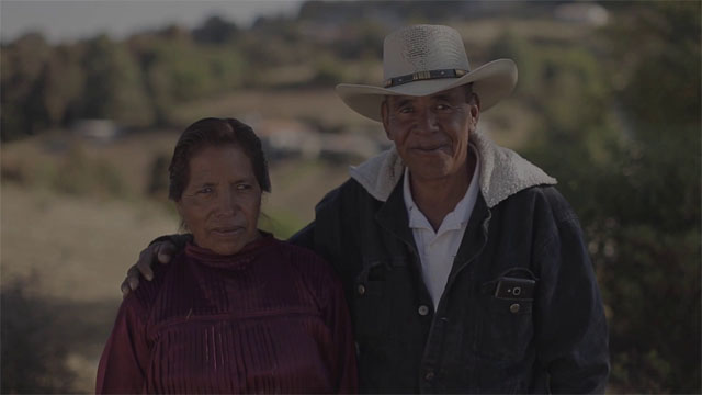 Palabras perdidas