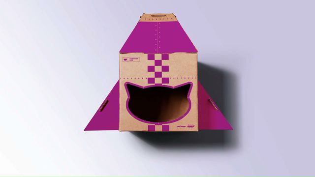 Curiosity Boxes