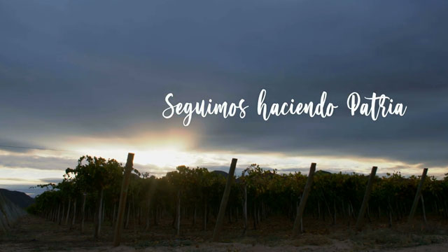 Seguimos Haciendo Patria