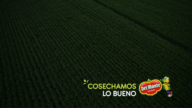 Cosechamos lo bueno