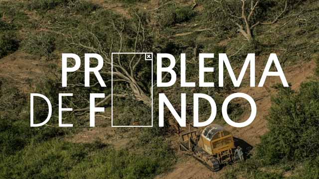 El Problema de Fondo