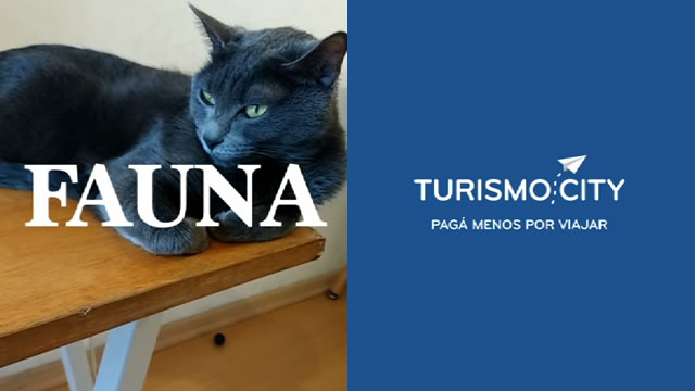 Destinos de cuarentena