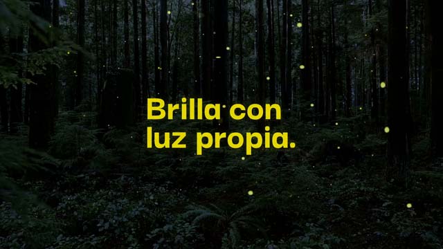 Luciérnagas 