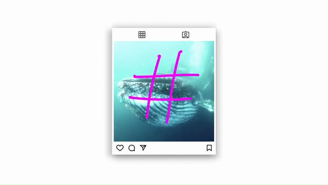 #StopGhostGear