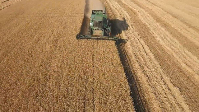 ACA mi campo (El Ojo 2020)