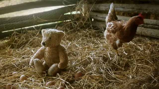 The Little Bear