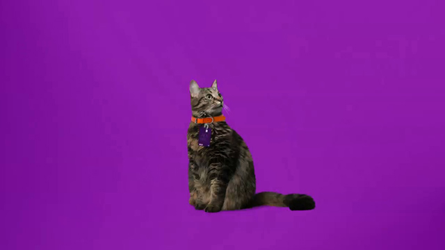 Naranja X PET