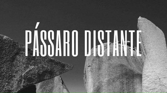 Passaro Distante