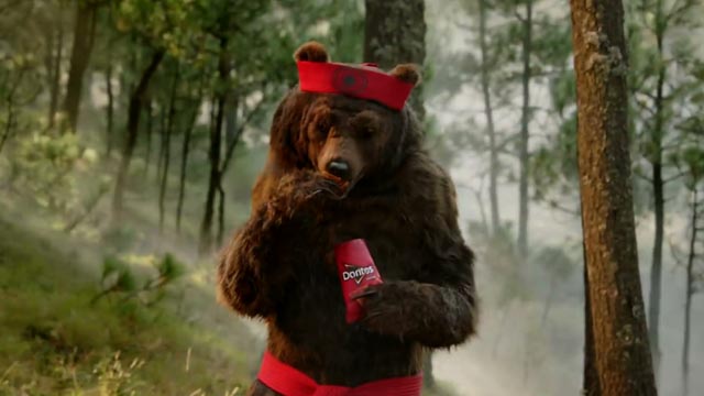 Oso Karateca