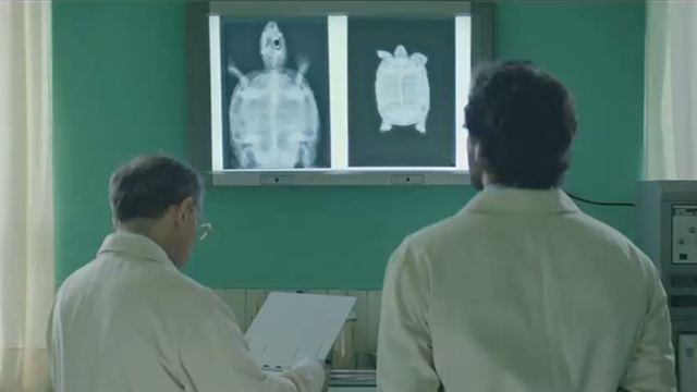 Veterinaria
