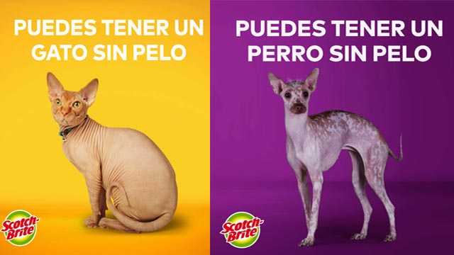 Nuevo Rodillo Quitapelusas Super Adhesivo