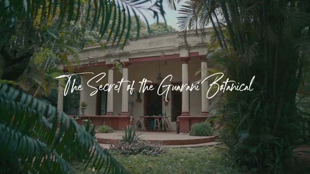 Caso - El Secreto de la Botánica Guaraní 