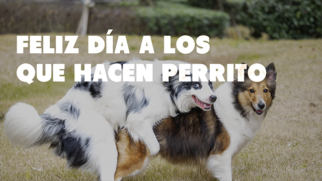 Día del Animal