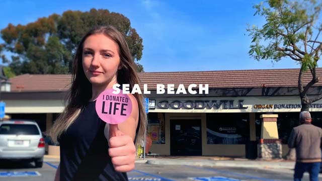 The Life Store