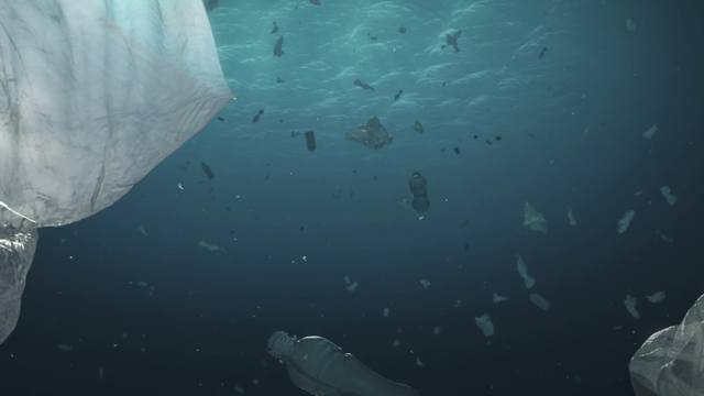 Earth Is Saying (Cannes 2021)