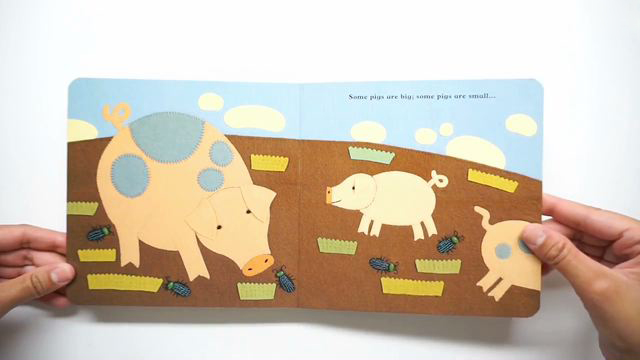 The secret lives of animals