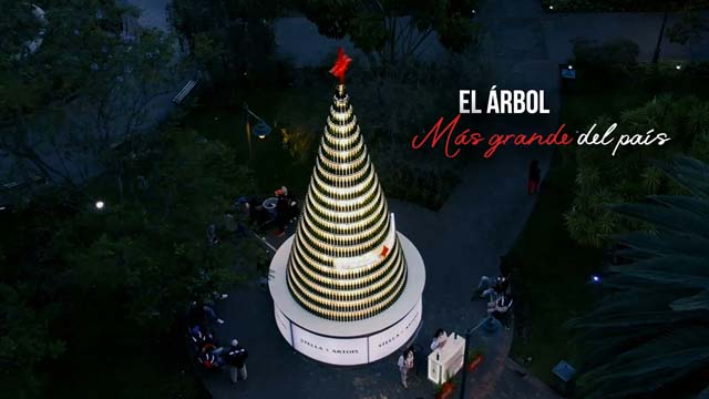 El árbol más grande del país