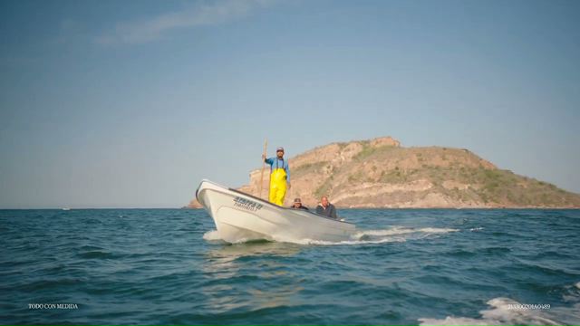 Un Viaje Al Pacífico, Al Encuentro De Las Ballenas