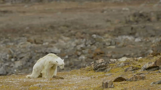 Covering climate now