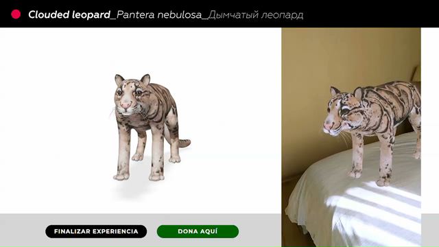Huellas de Extinción