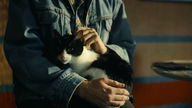 Veterinário