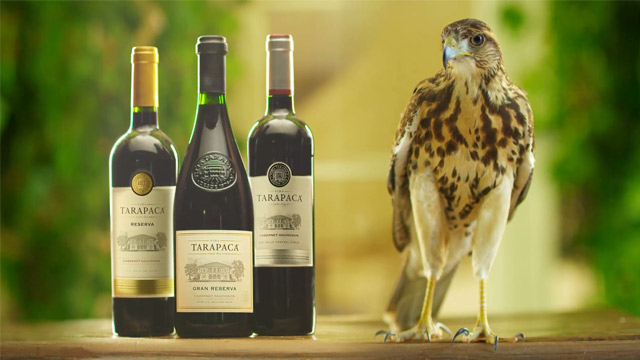 Home of Biodiversity
