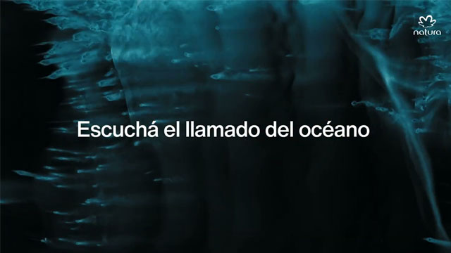 Escucha el llamado del océano