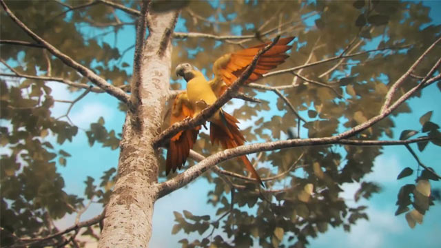 Guacamayo