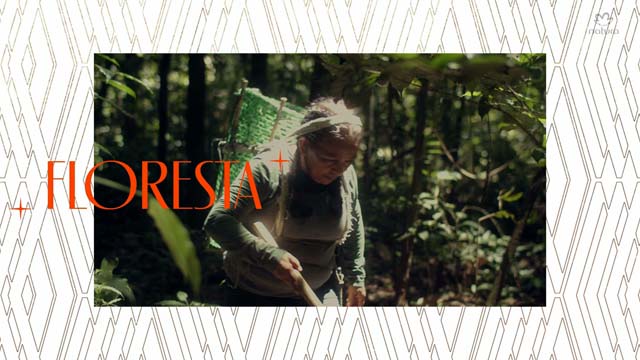 Quando a floresta cresce, a gente cresce junto