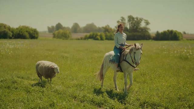 Caballo